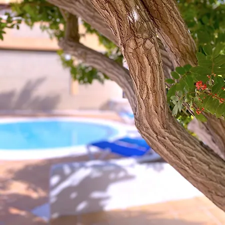 Tropicalidays Altos Del Roque Costa Adeje (Tenerife)