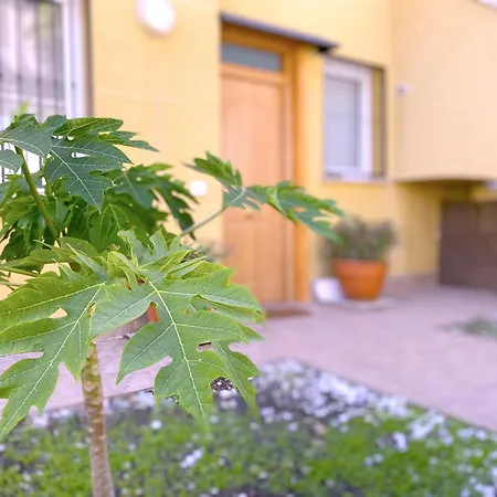 Tropicalidays Altos Del Roque Costa Adeje (Tenerife)