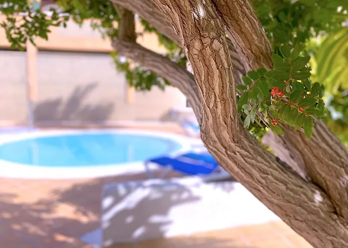 Tropicalidays Altos Del Roque Costa Adeje (Tenerife)