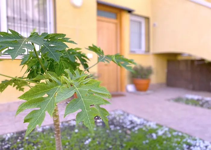 Tropicalidays Altos Del Roque Costa Adeje (Tenerife)